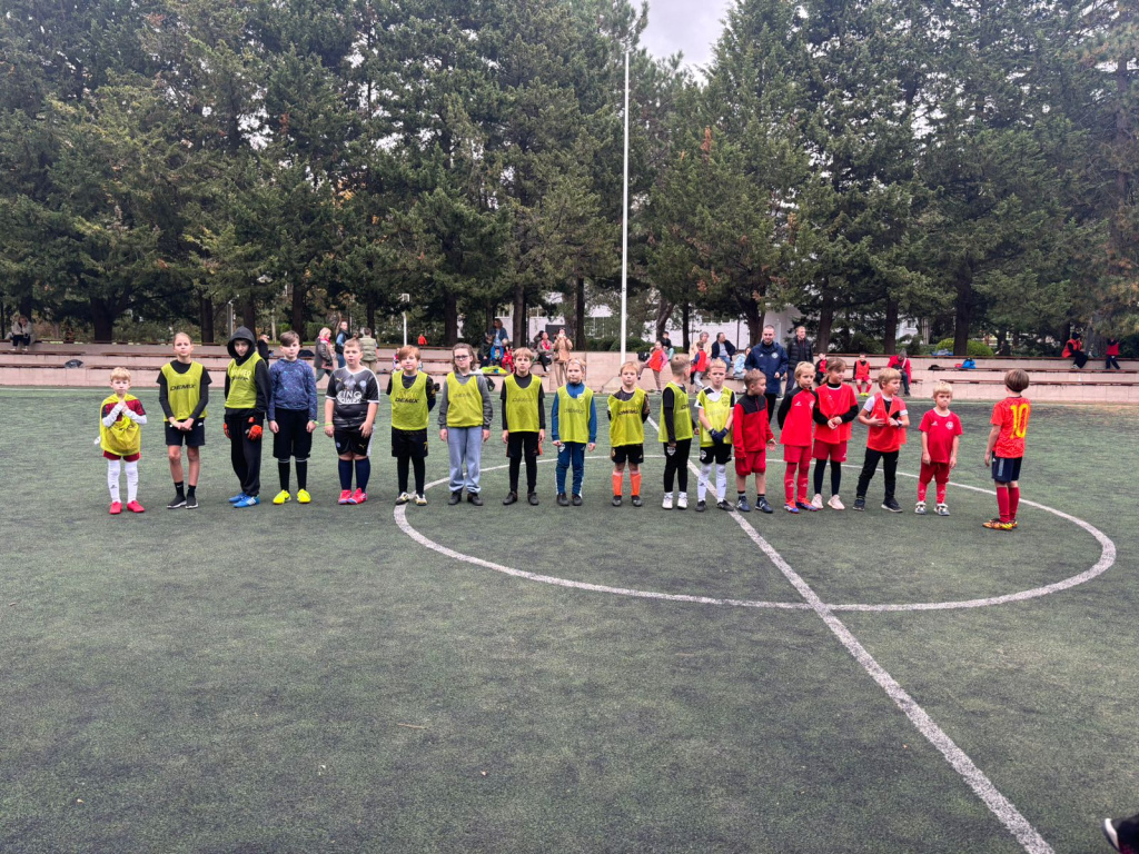 сборы на сайт.jpg